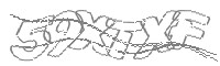 Check code