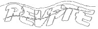 Check code