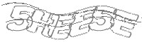 Check code