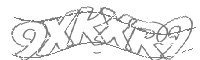 Check code