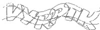 Check code
